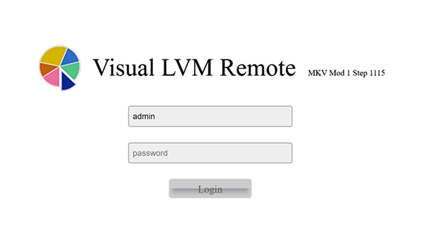 Login Visual LVM
